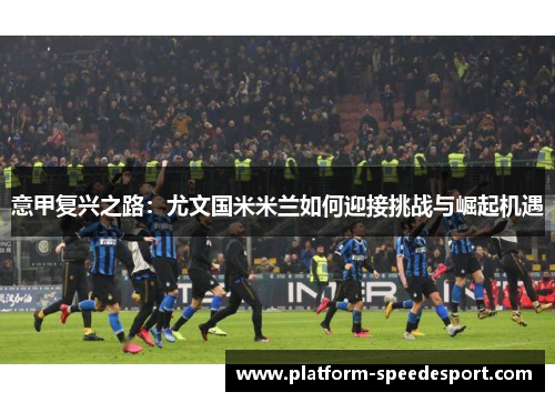 意甲复兴之路：尤文国米米兰如何迎接挑战与崛起机遇